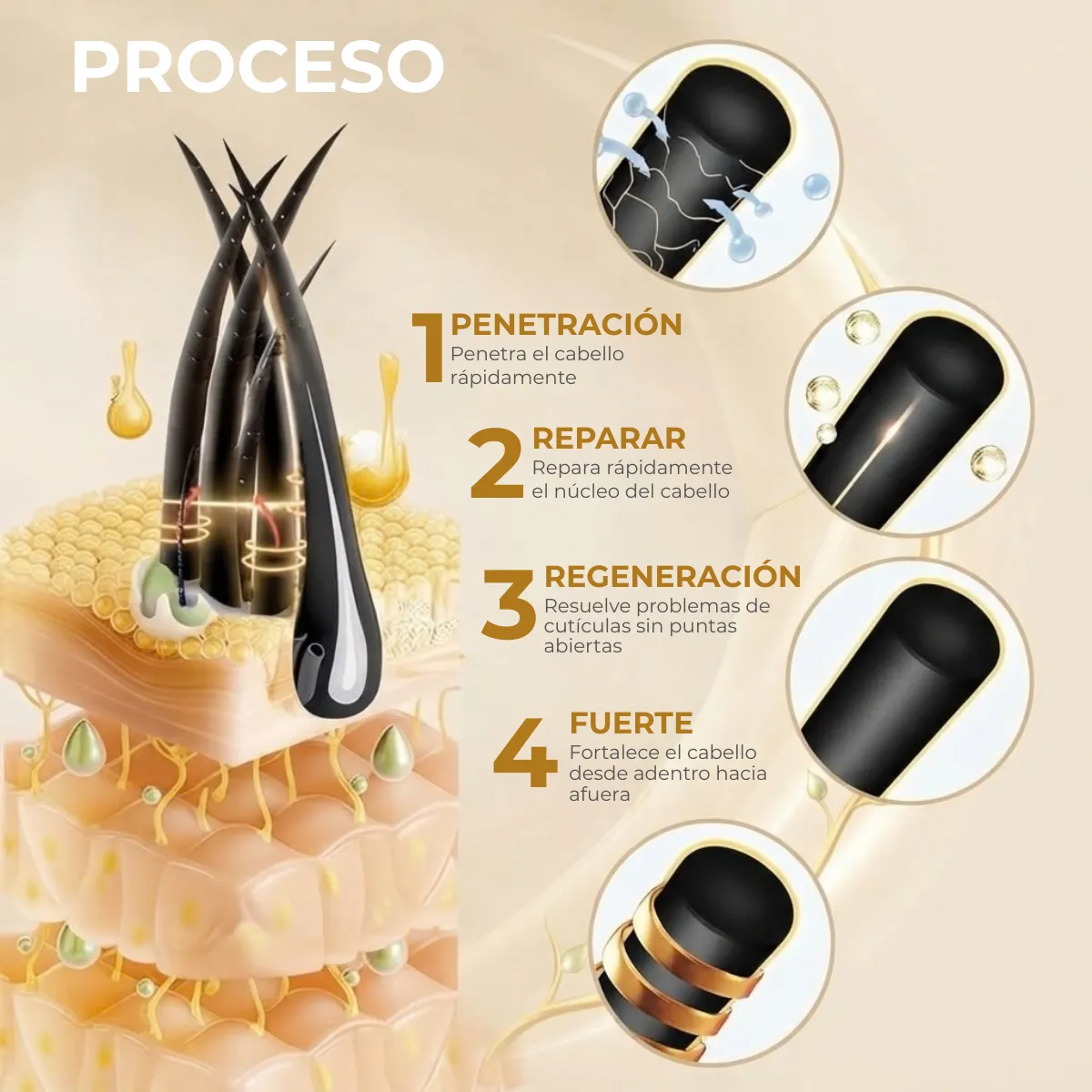 Aceite para Crecimiento de Vello Facial Con Rodillo para Crecimiento de Barba - Imagen 3