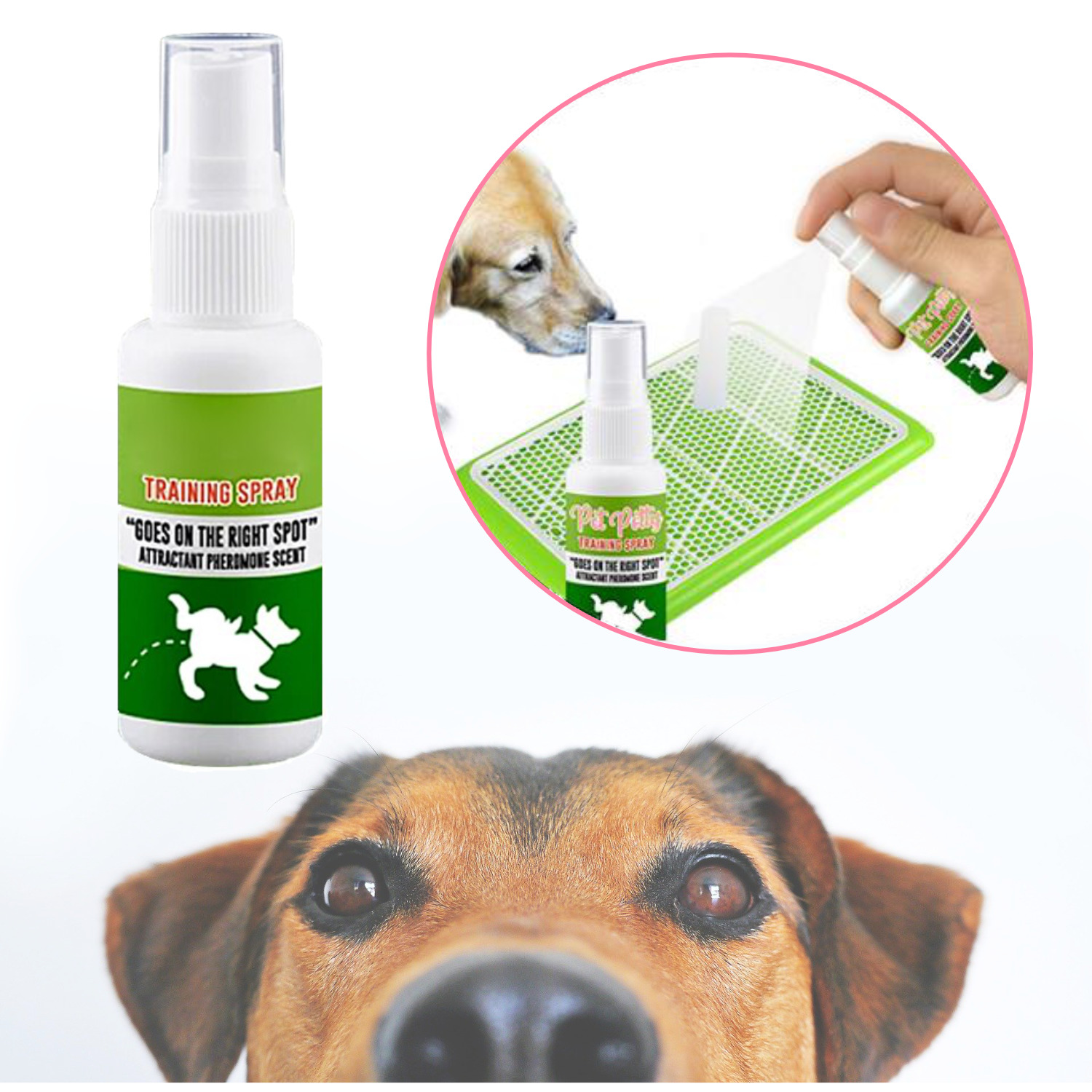 Spray Entrenador Para Baño Mascotas Perros Cachorros